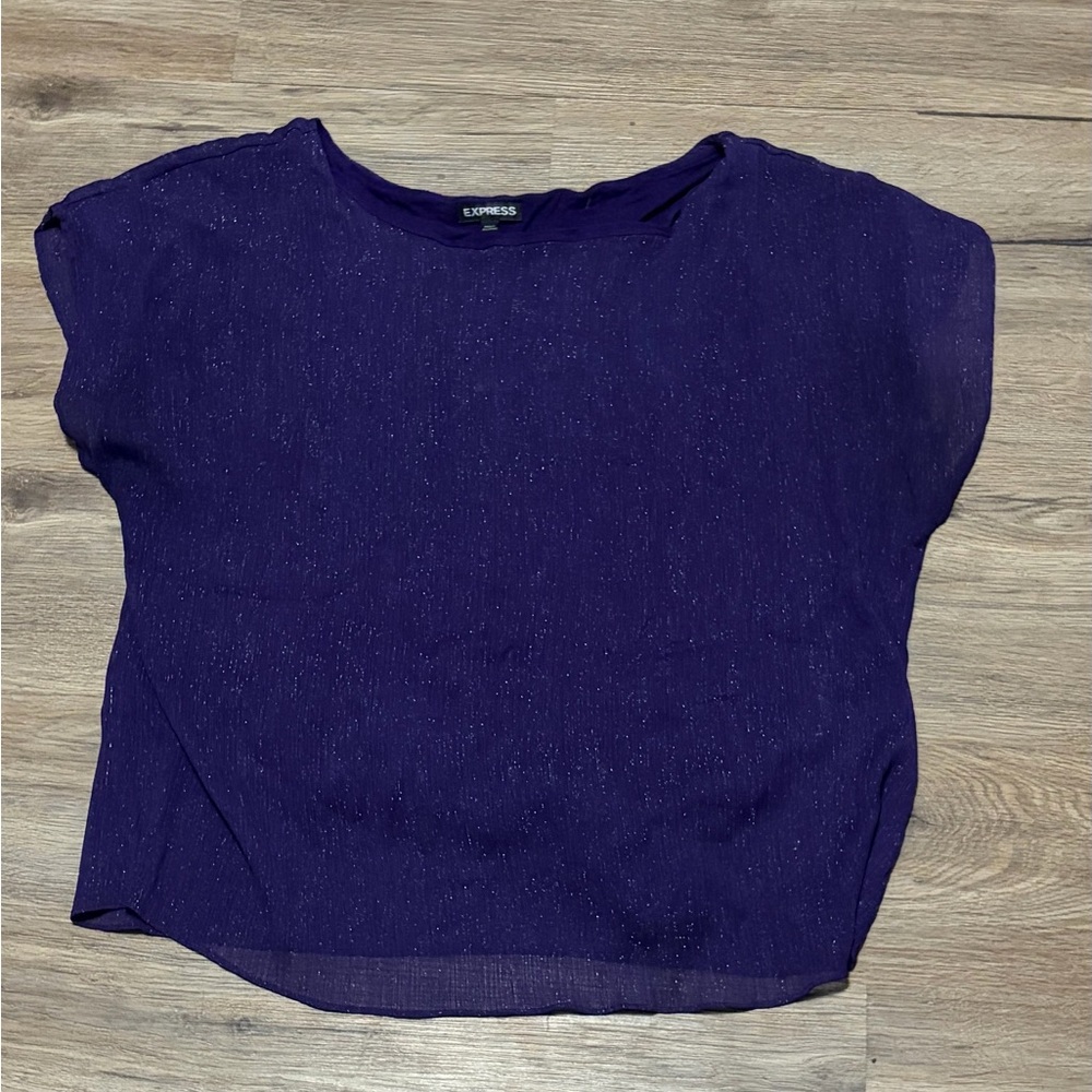 Express Deep Purple Short Sleeve Sparkle Top - Size Large